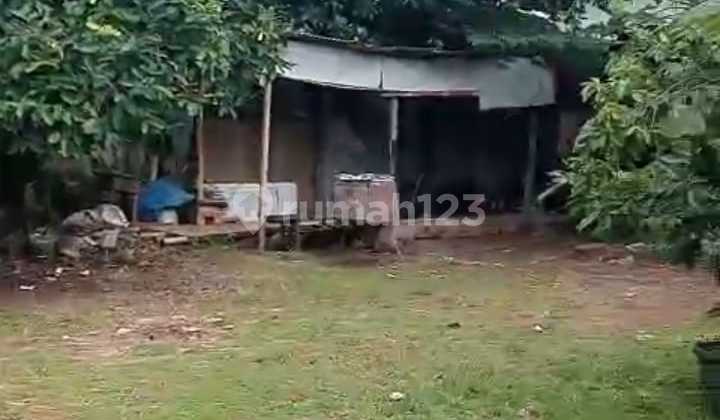 Jual Bawah Njop Tanah Bonus Rumah Tua Area Strategis Jagakarsa Jual Bawah Njop Tanah Bonus Rumah Tua Area Strategis Jagakarsa