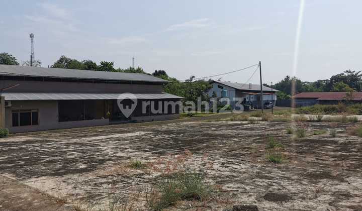 Sell Fast Negotiable Ex Coffee Factory Batang Central Java
