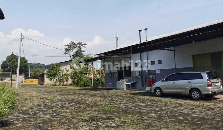 Sell Fast Negotiable Ex Coffee Factory Batang Central Java