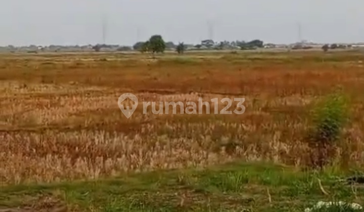 Dijual Segera Tanah Keras Lokasi Strategis Premium Cibitung Dijual Segera Tanah Keras Lokasi Strategis Premium Cibitung