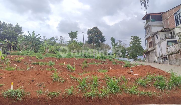 Tanah BU Dago Citra Green 98m² SHM Jual Cepat Tanah BU Dago Citra Green 98m² SHM Jual Cepat