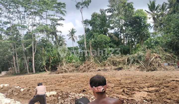 Land for Sale in Sembung Badung