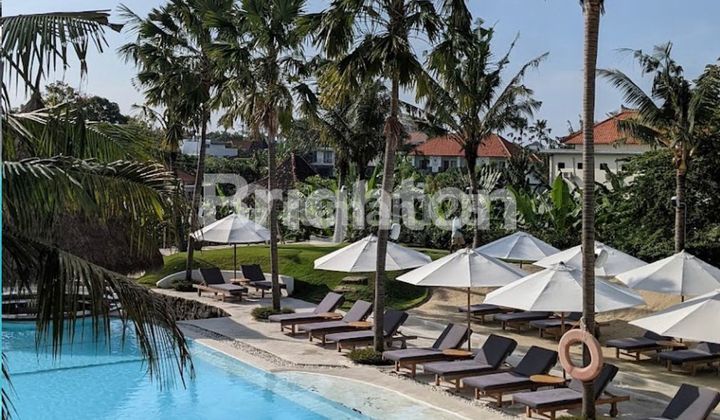 Di Jual Hotel Batu Bolong Canggu 80 M Luas 1700m2 Di Jual Hotel Batu Bolong Canggu 80 M Luas 1700m2