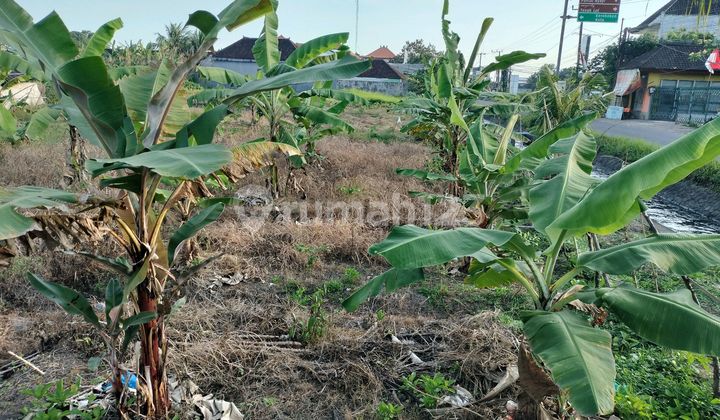 For Rent Land on Pandak Roadside For Rent Land on Pandak Roadside