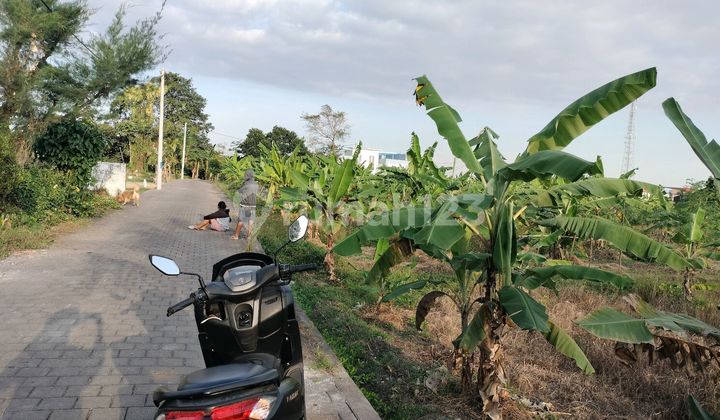 For Rent Land on Pandak Roadside For Rent Land on Pandak Roadside