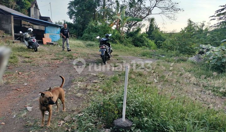 Land for Rent by Beraban Roadside