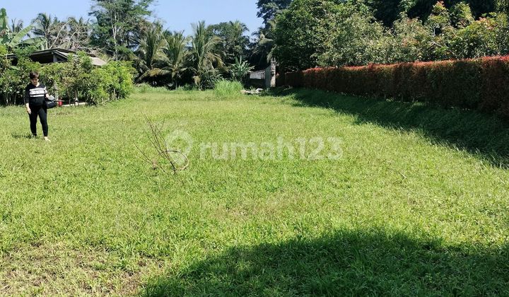 Land for Sale in Sembung Area