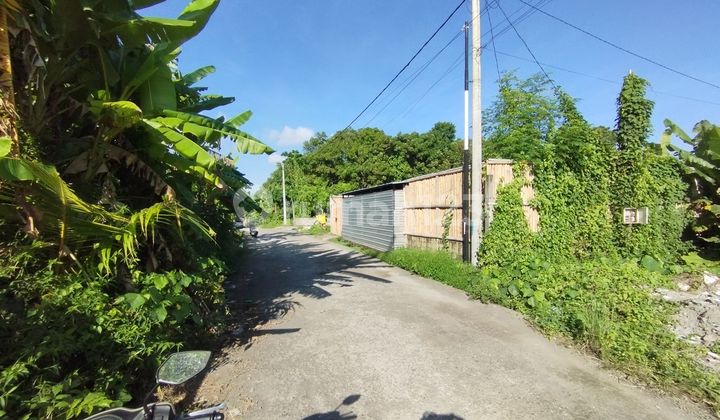 Land For Rent In Beraban
