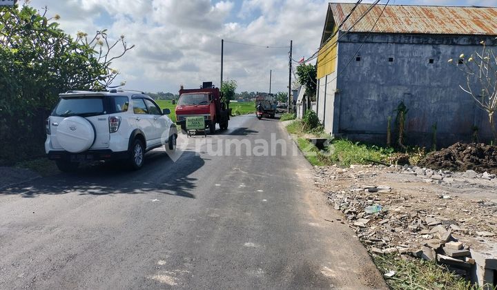 Land for Sale in Mengwi Beringkit