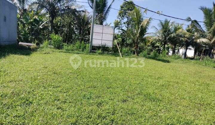 Land for Sale in Sembung Area