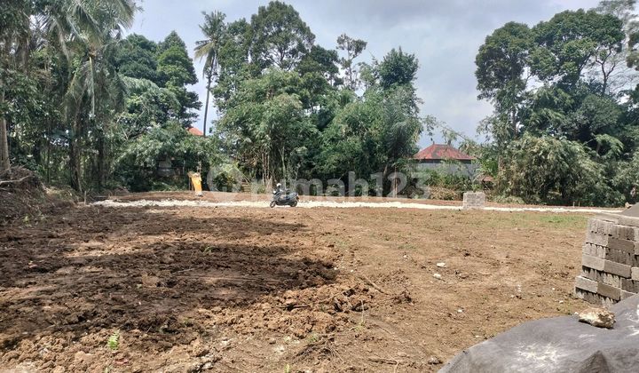 Land for Sale in Sembung Badung