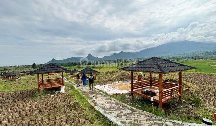 Kavling Sawah Produktif Dan Estetik Di Bogor 2