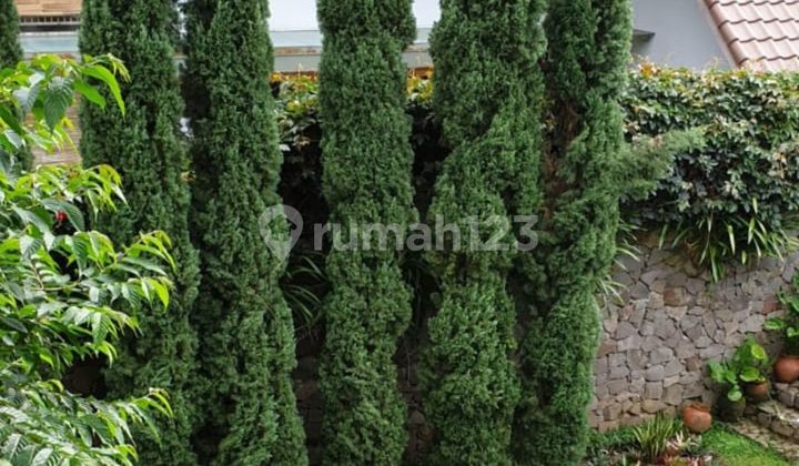 Vila Yang Mewah Dan Nyaman