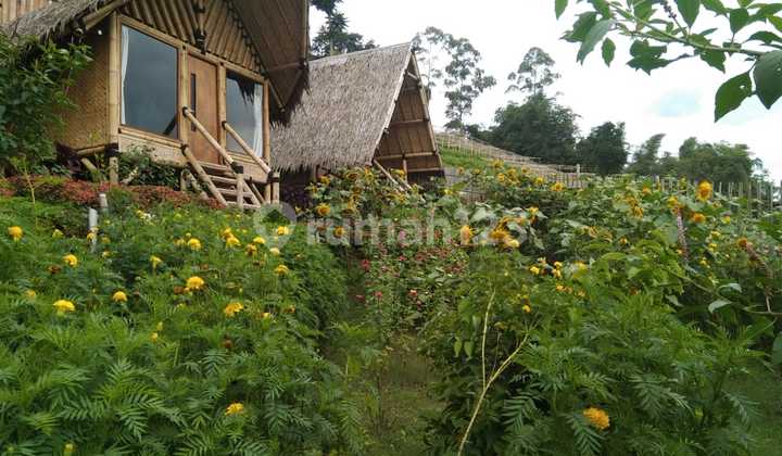 Two-Story Villa With Natural Scenery. Ideal For Recreation