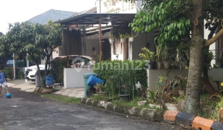 Rumah Sejuk dan Bagus Rumah Sejuk dan Bagus