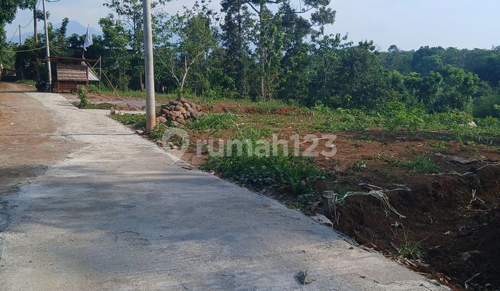 Tanah Kavling Jalan Lebar Dekat Terminal Cocok Untuk Rumah Tanah Kavling Jalan Lebar Dekat Terminal Cocok Untuk Rumah