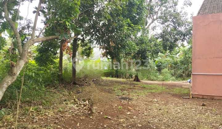 Tanah Sangat Bagus Dekat Kampus Unnes Ampelgading Siap Bangun SHM Disemarang 1