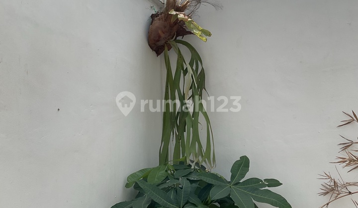 Kos Kosan Dijual Cepat Lokasi Dekat Kampus Unnes Shm Full Terisi Kos Kosan Dijual Cepat Lokasi Dekat Kampus Unnes Shm Full Terisi