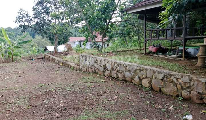 Tanah Belakang Rs Graha Syifa Unnes Patemon Cocok Untuk Investasi 2