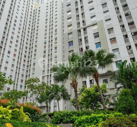Disewakan Apartment Dengan City View Dan Beach View Di Pluit