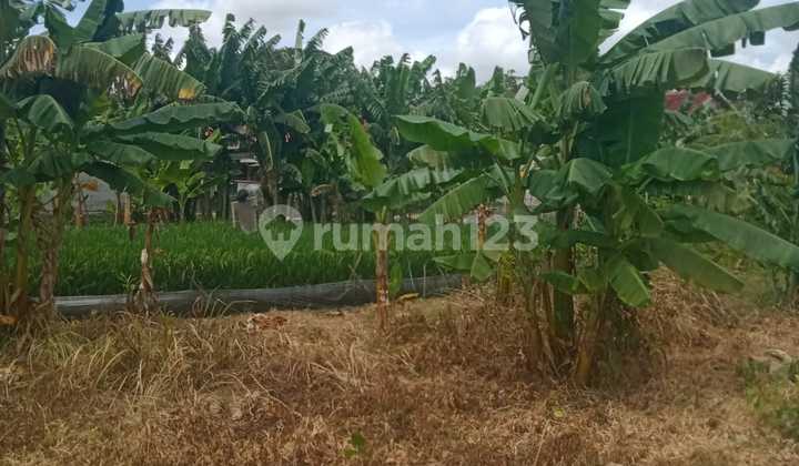 Jual Cepat Tanah Kavling Esklusif Di Cibitung Bekasi Jual Cepat Tanah Kavling Esklusif Di Cibitung Bekasi