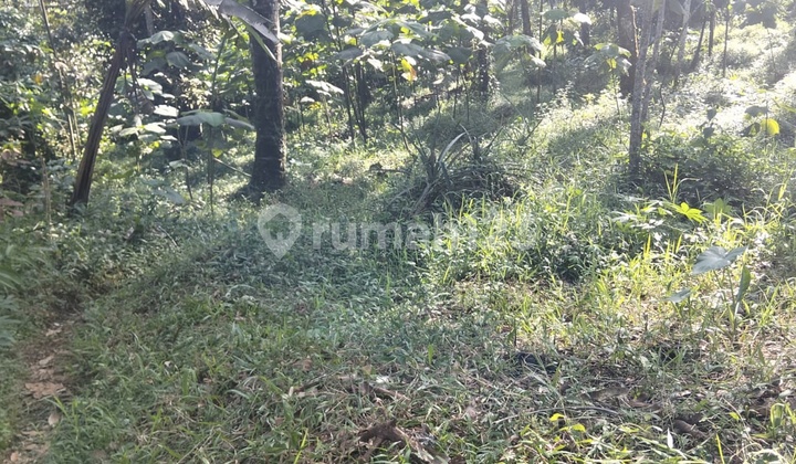 Langkaaa!!! Tanah Strategis Di Purbalingga Cocok Untuk Usaha