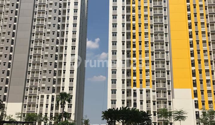 For Rent Quick Furnished Studio Apartment In Springlake Summarecon