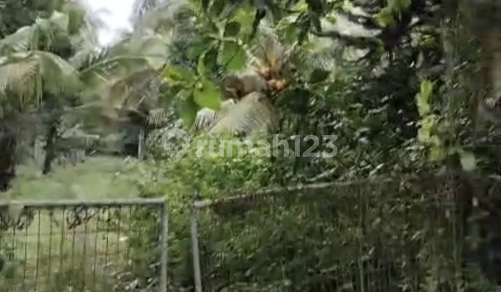 Dijual Cepat Tanah Kavling Strategis Di Gilimanuk Jembrana Bali