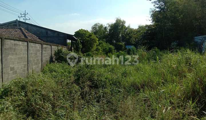 Land Plot for Sale for Warehouse/Industrial Use in Gresik, East Java
