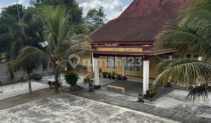 Jual Cepat Esklusif Rumah 1 Lantai Luas Di Blitar Jawa Timur