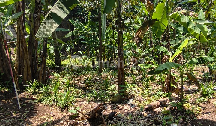 Sell Fast Land Plots Below Market Price in Cibinong Bogor