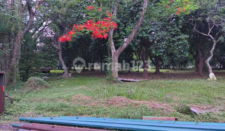 Djual Tanah Di Taman Golf Selatan Di Cikarang Luas 489 Meter