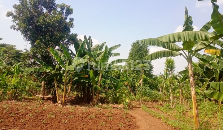 Dijual Tanah Luas 4580 M² Di Ciputat Tangsel