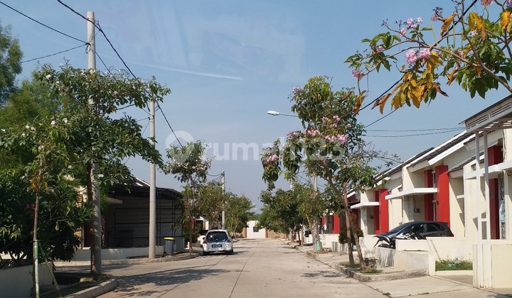 For Sale Nice Single-Story House In Flood-Free Cluster At Segara City Bekasi 2