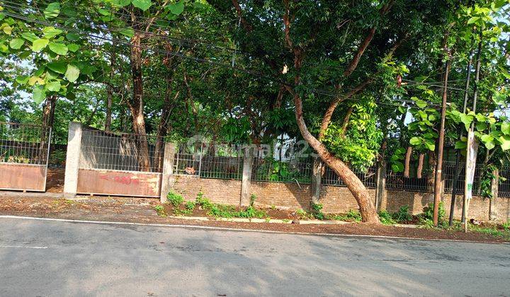 Tanah Strategis Dijalan Utama Tembalang Dekat Undip Tanah Strategis Dijalan Utama Tembalang Dekat Undip