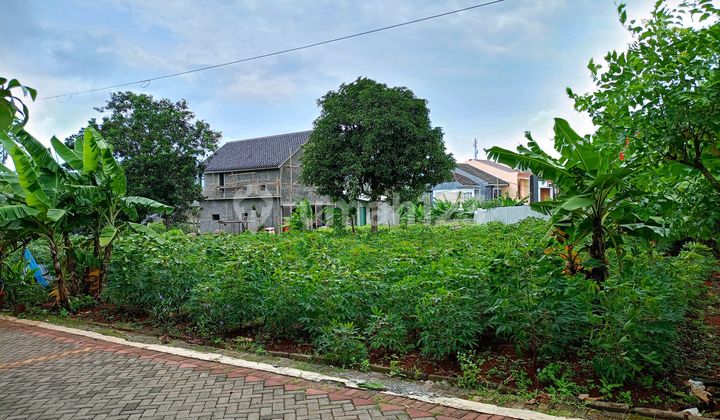 Tanah Strategis Bulusan Tembalang Dekat Undip 2