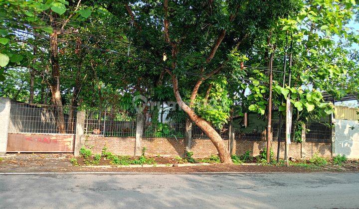 Tanah Strategis Dijalan Utama Tembalang Dekat Undip 2