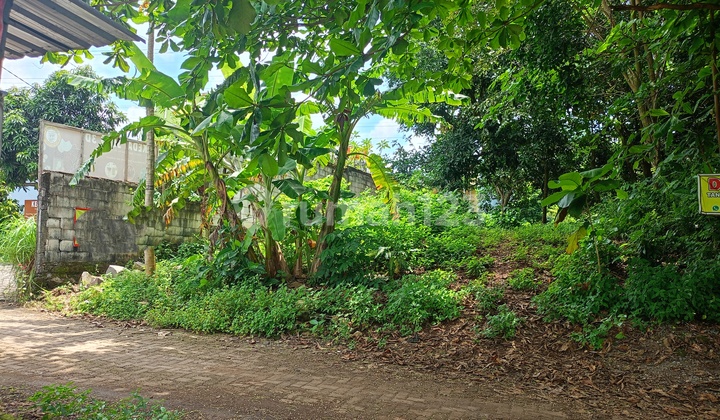 Butuh Laku Cepat Murah Ngesrep Bukit Sari Dekat Undip  1