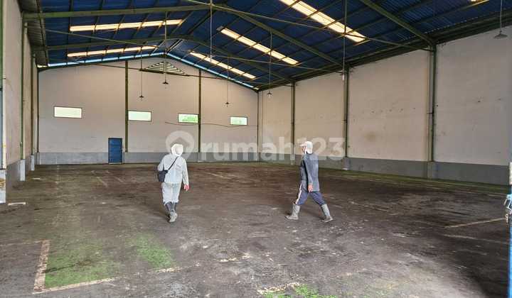 Warehouse for Rent in Millennium Area Cikupa | 800m² | Affordable Price Warehouse for Rent in Millennium Area Cikupa | 800m² | Affordable Price