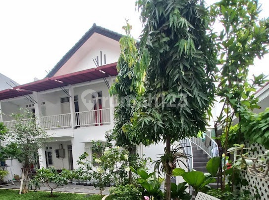 House with Inner Court Garden in Menteng 2