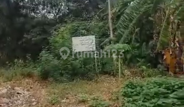 Suitable For Padel In West Jakarta