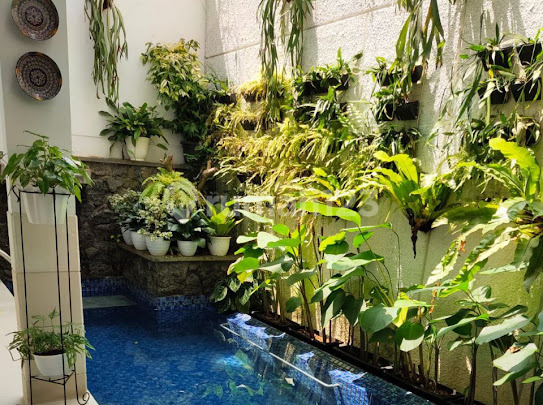 Rumah Bagus SHM di Menteng Rumah Bagus SHM di Menteng