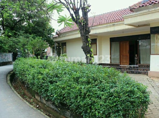 Nice House with SHM in Menteng 2
