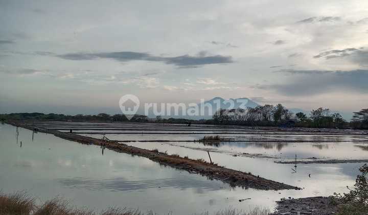 FOR SALE 10.5 HECTARES OF LAND IN SIDOARJO, EAST JAVA