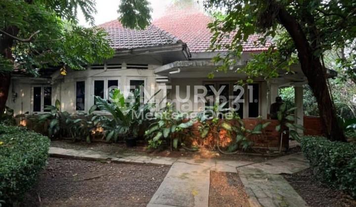 Hidden Gem Rumah Asri Di Pusat Menteng / Hitung Tanah