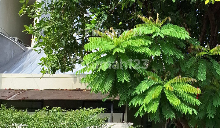 Menteng House Prime Area For Residential 2