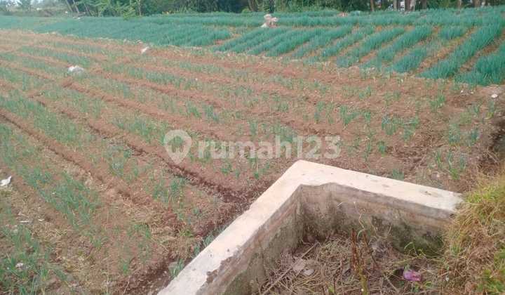 Dijual Tanah Ciwidey - Pasir Luhur Dijual Tanah Ciwidey - Pasir Luhur