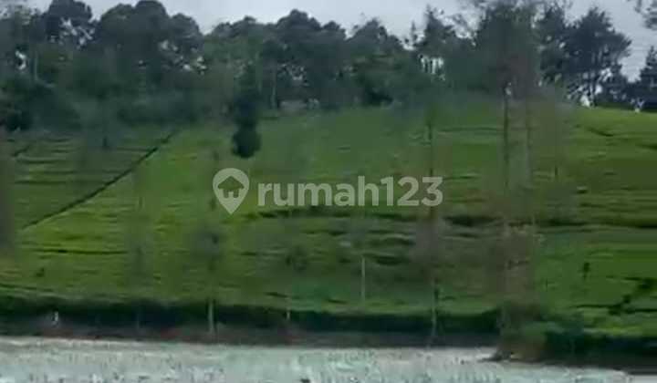 Dijual Tanah Perkebunan Ciwidey Murah