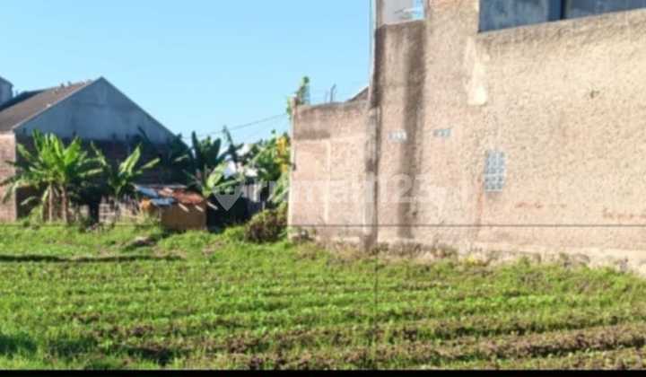 Dijual Tanah - Cibiru, Bandung Dijual Tanah - Cibiru, Bandung