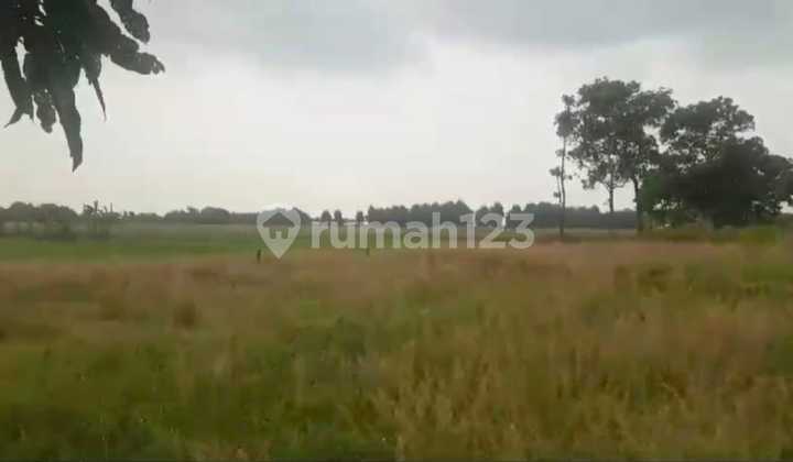 Industrial Land for Sale - Cibogo, Subang